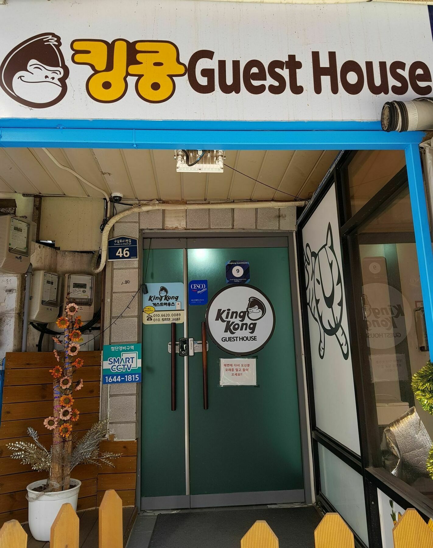 Kingkong Guesthouse Ciudad Metropolitana de Ciudad Metropolitana de Busan Exterior foto